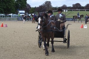 Windsor Horse Show